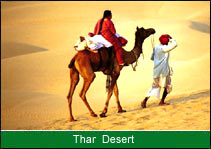 Thar Desert, Indian Bird Habitat