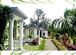 Bandhavgarh Jungle Resort