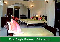 The Bagh Resort, Bharatpur