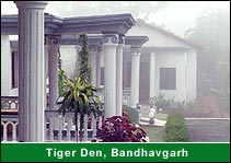 Tiger Den, Bandhavgarh