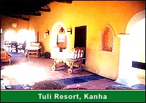 Tuli Resort, Kanha
