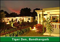 Tiger Den, Ranthambhore