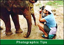 Photographic Safari Tips