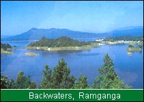 Backwaters, Ramganga  Reservoir 
