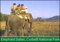 Elephant Safari, Corbett National Park 