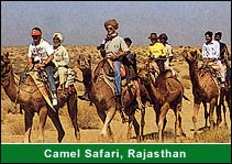 Camel Safari, Rajasthan Travel Agent