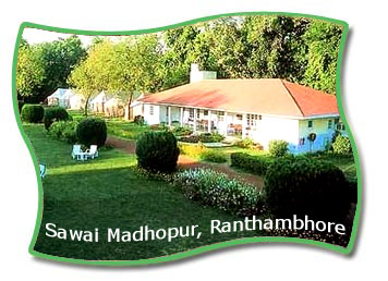 Sawai Madhopur  , Ranthambore