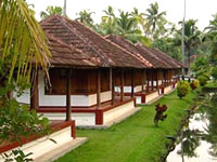 Coconut Lagoon