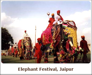 Elephant Festival - Jaipur