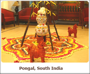 Pongal - All over South India