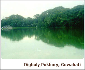 Digholy Pukhury, Guwahati