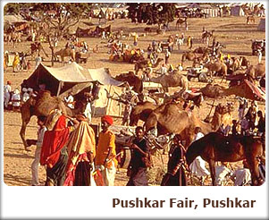 Pushkar Fair, Pushkar