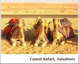 Camel Safari, Jaisalmer