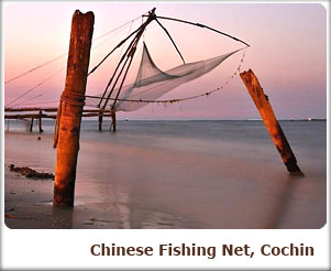 Chinese Fishing Net, Cochin