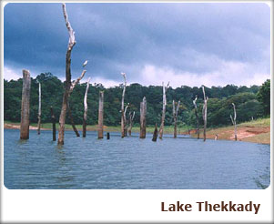 Lake Thekkady