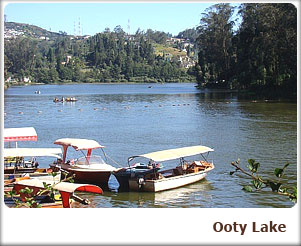Ooty Lake