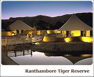 Ranthambore Tiger Reserve