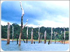 The Grand Splendid & Panaromic South India Tour