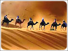 Rajasthan Golden Sand Tour