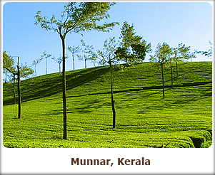 Munnar kerala