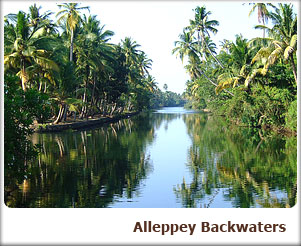 Alleppey Backwaters
