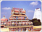 India Tour - The Land of Endless Discovery