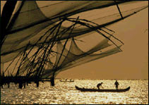 Cochin - South India Wildlife & Scenic Tour