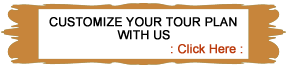 Customize Your Plan With Us 