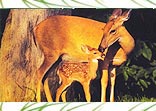 Our Exclusive Tours