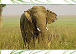 Our Exclusive Tours