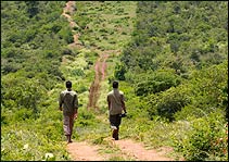 Jungle Walk in Periyar National Park