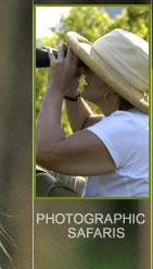 Photographic Safari India