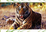 Our Exclusive Tours