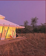 Aman I Khas, Ranthambore 