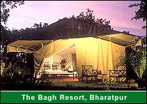 The Bagh Resort, Bharatpur