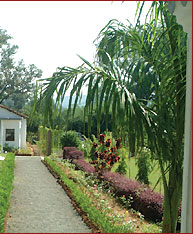Tiger Den, Bandhavgarh