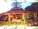 Jim Corbett Jungle Resort 