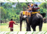 Photographic Safari In India