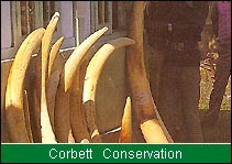 Corbett Conservation, India