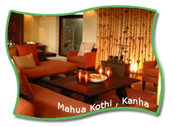 Mahua Kothi , Kanha